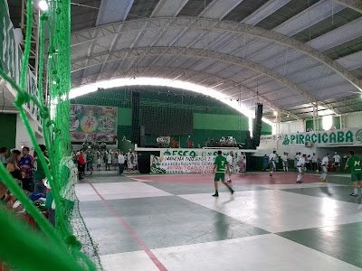 Escola de Samba MANCHA VERDE