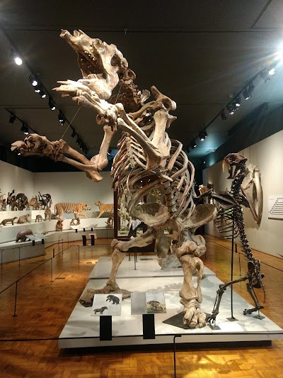 Museu de Zoologia