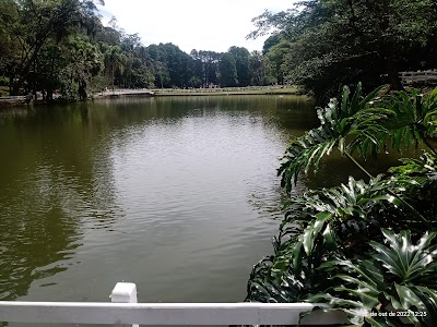 Parque Estadual Alberto Löfgren - Horto Florestal