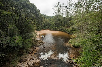 SelvaSP Parque de Aventura
