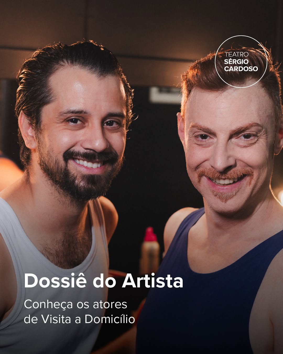 Visita a Domicílio — Teatro Sérgio Cardoso, Bela Vista, São Paulo