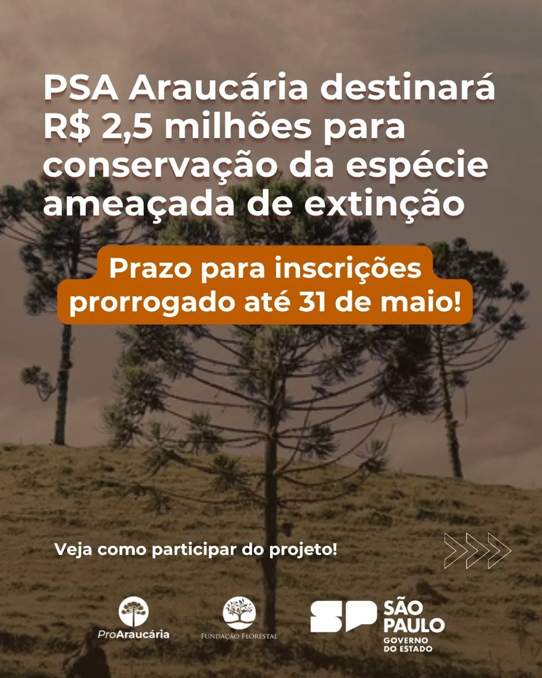 Inscrições PSA Araucária