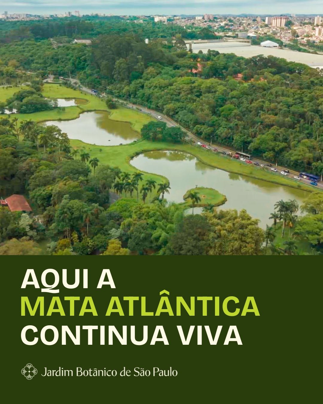 Celebração do Dia da Mata Atlântica
