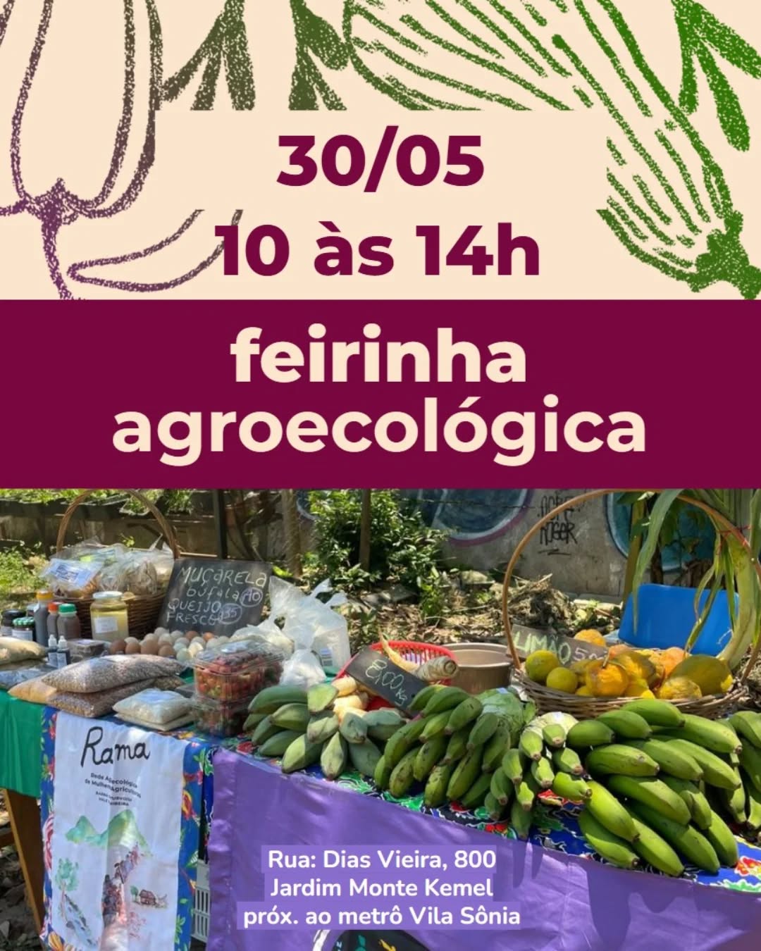Feirinha Agroecológica do Espaço Cultural Montel