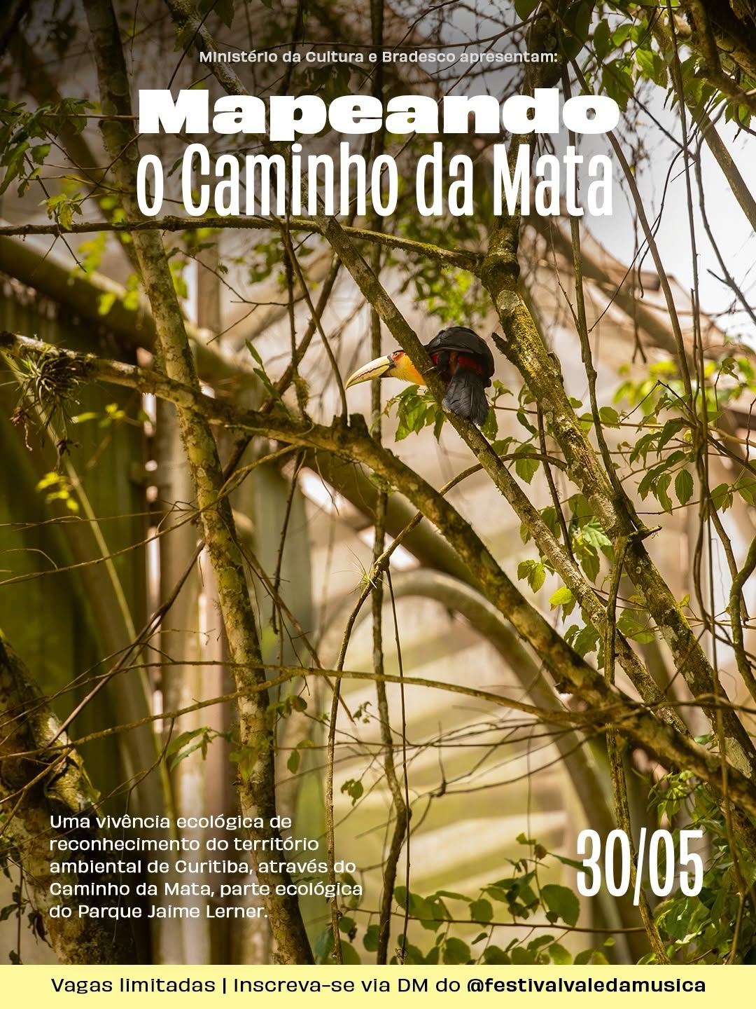 Mapeando o Caminho da Mata