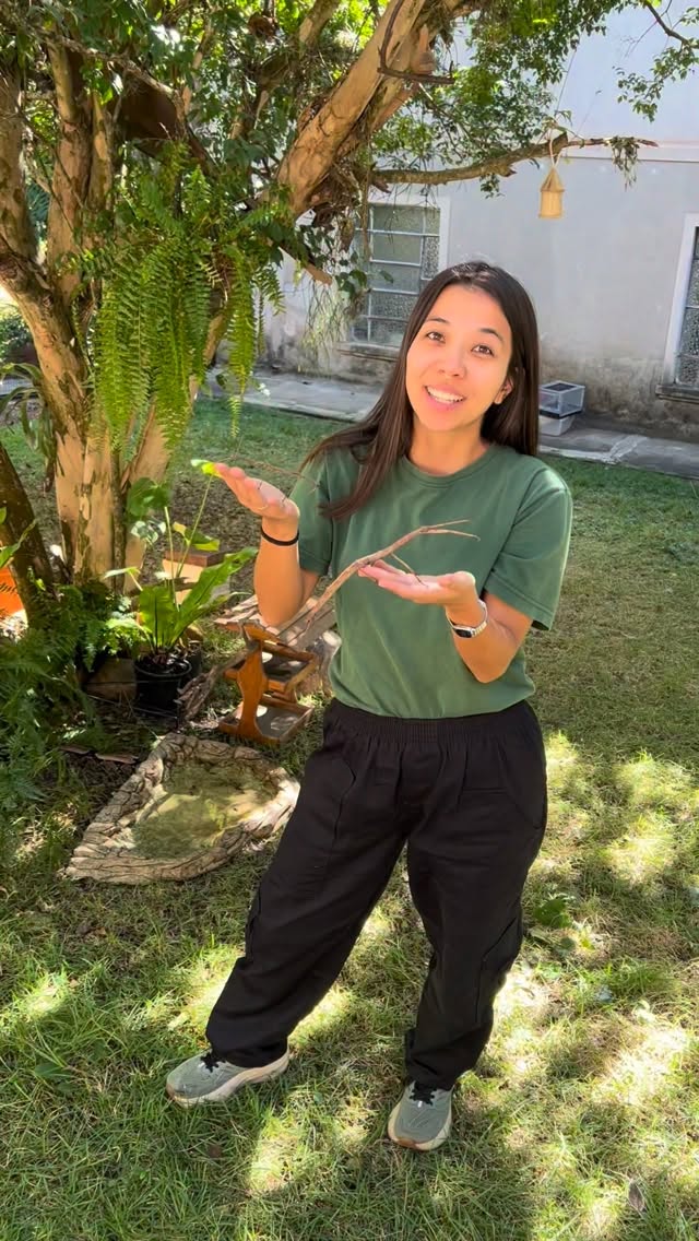 Na Floresta - Experiência Educativa e Natureza — Na Floresta, Itaim Bibi, São Paulo