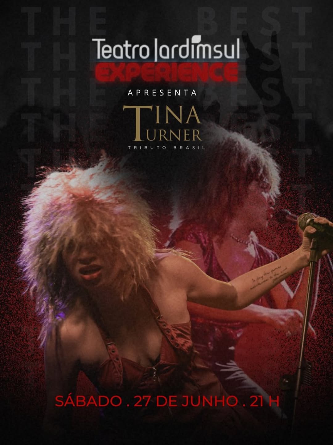 Show do Tributo a Tina Turner