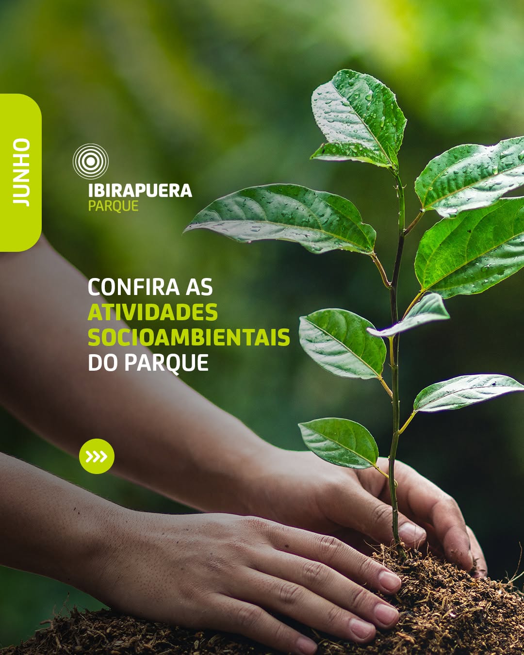 Mês do Meio Ambiente no Ibira — Parque Ibirapuera Oficial, Vila Mariana, São Paulo