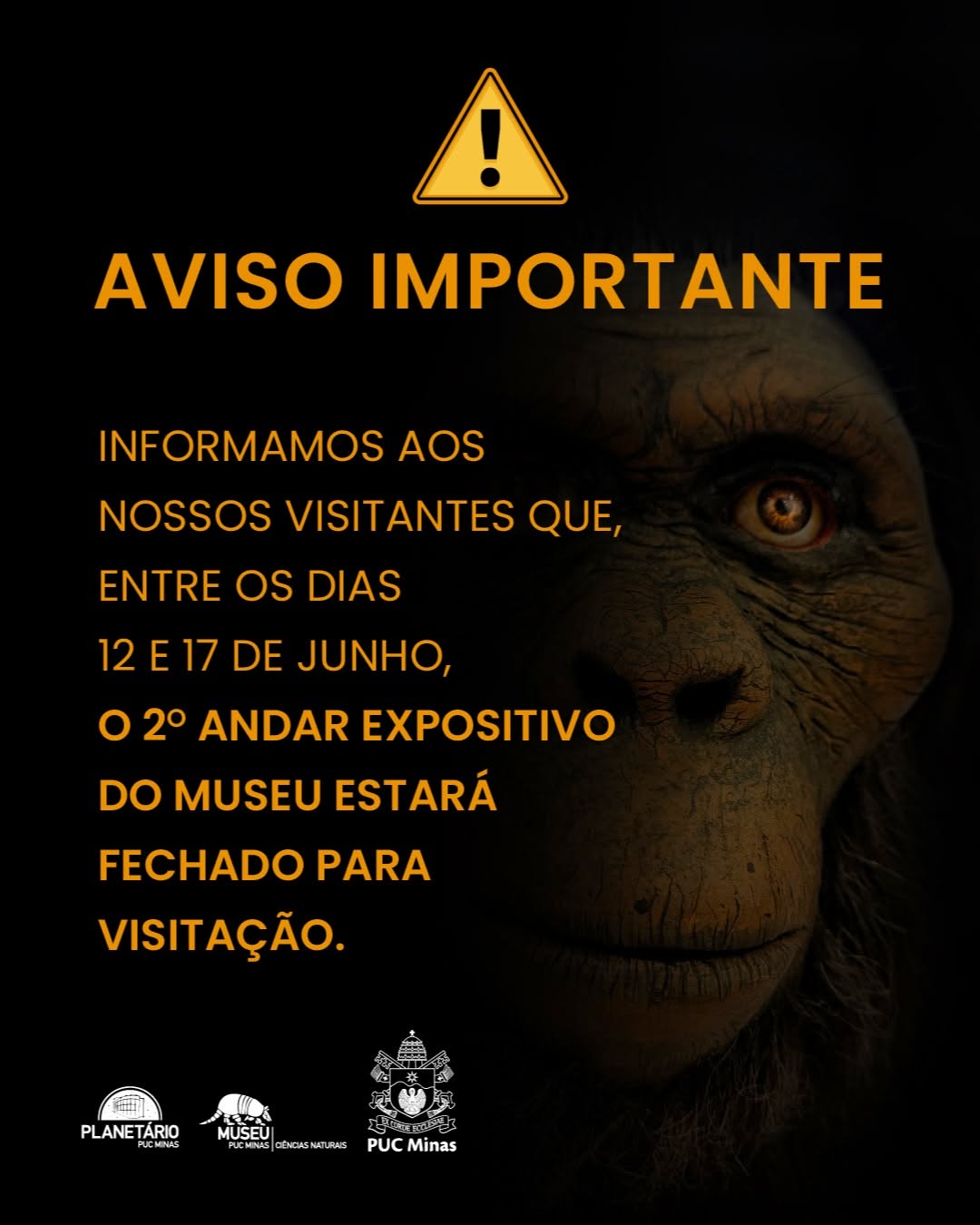 Programação Especial para Crianças — Museu PUC Minas, Coração Eucarístico, Belo Horizonte
