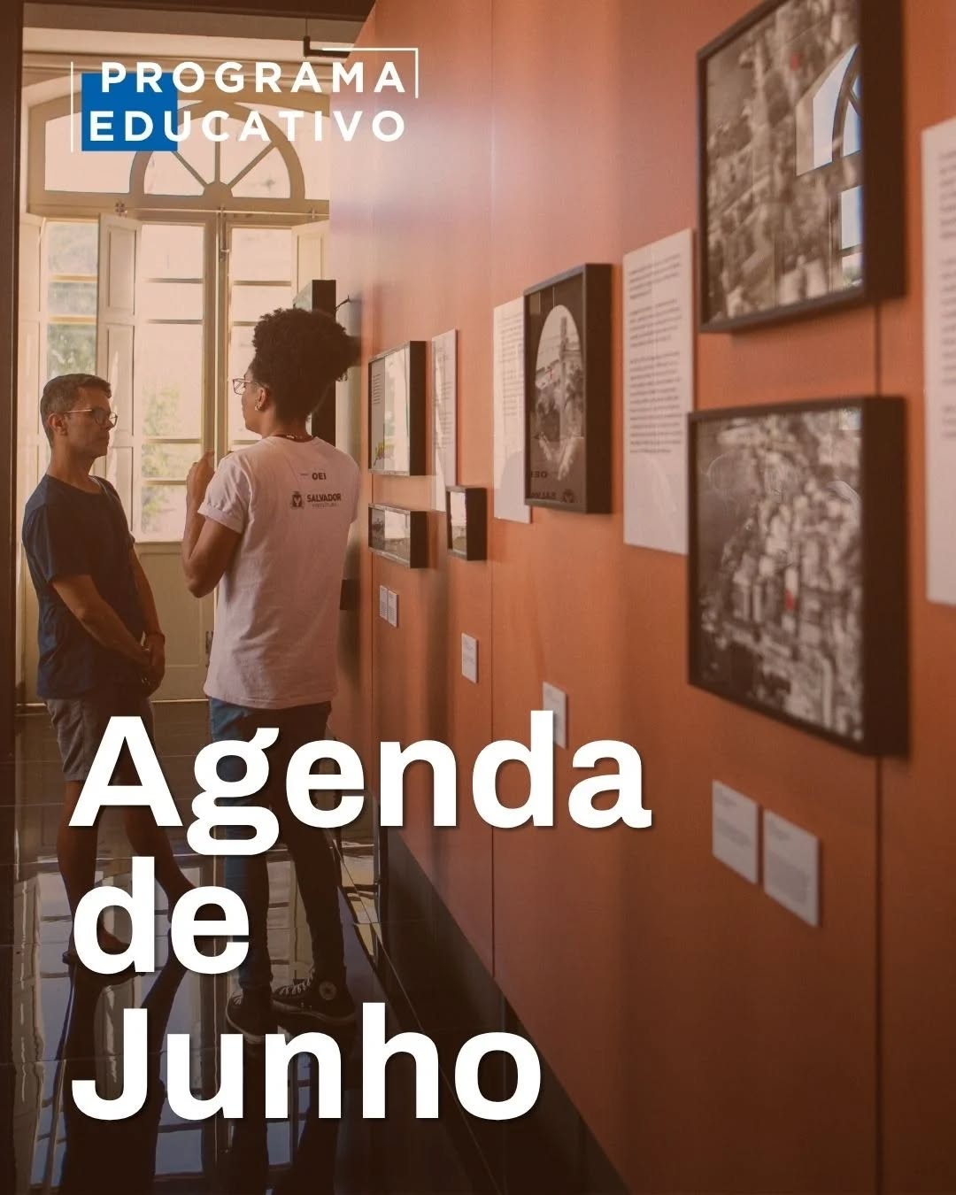 Programa Educativo - Cineclube