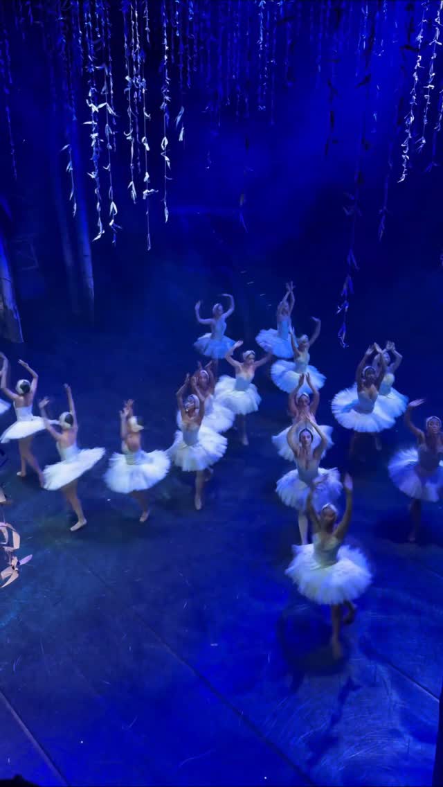O Lago dos Cisnes — Cia de Dança, Bom Retiro, São Paulo