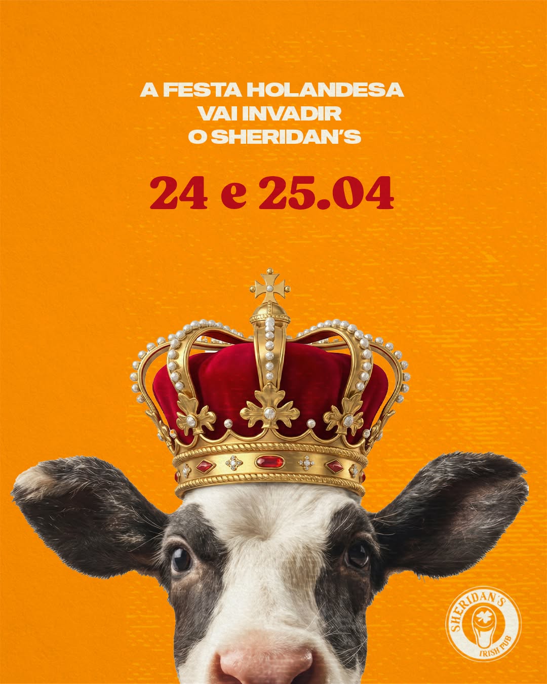 Festa Holandesa