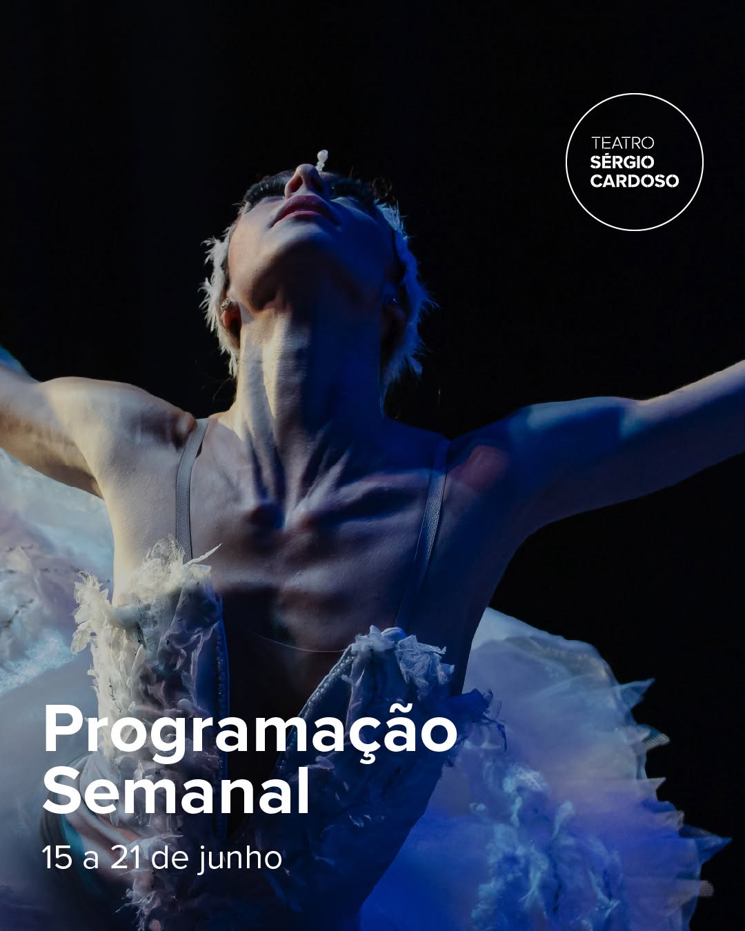 O Lago dos Cisnes — Teatro Sérgio Cardoso, Bela Vista, São Paulo