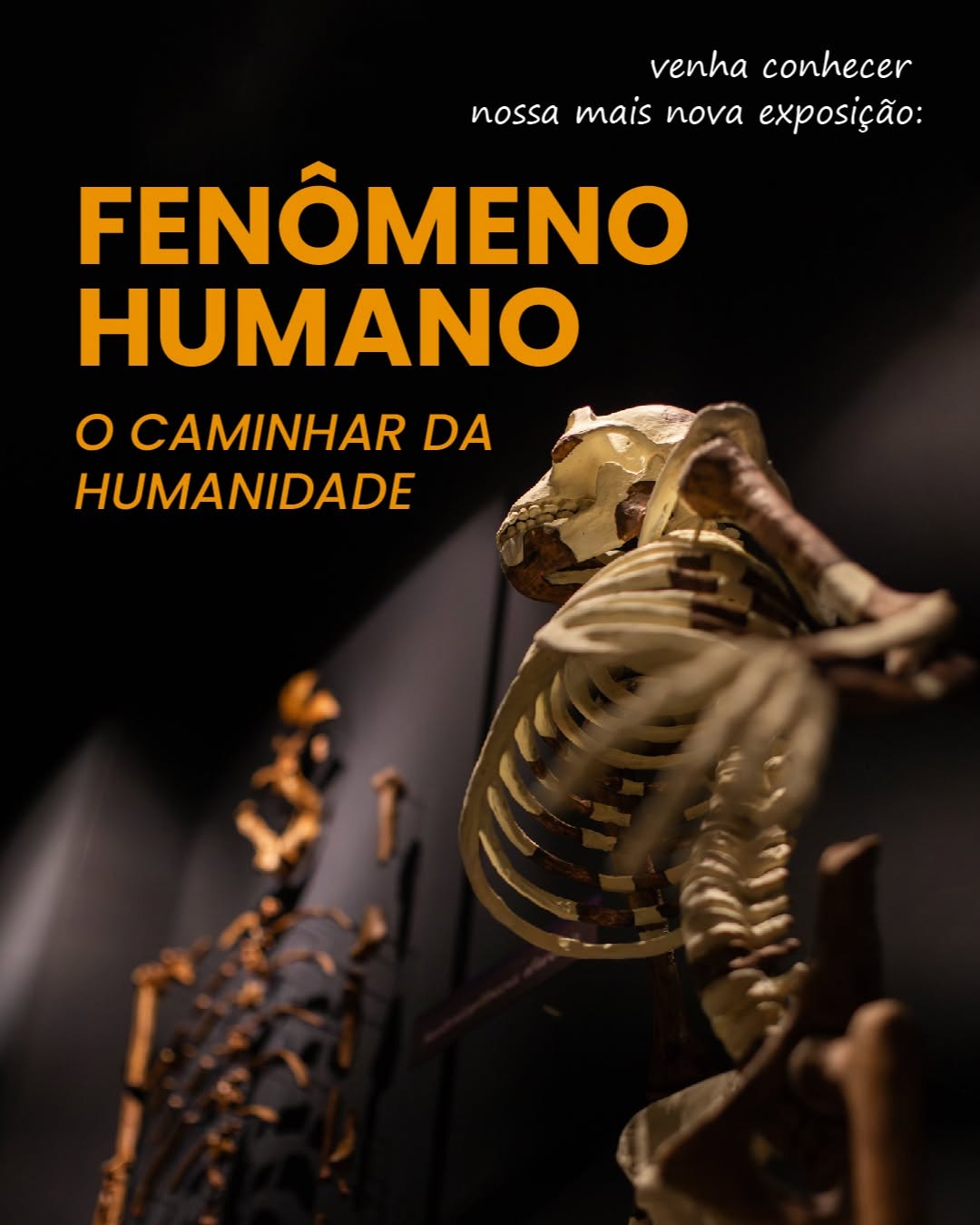FENÔMENO HUMANO: o Caminhar da Humanidade — Museu PUC Minas, Coração Eucarístico, Belo Horizonte