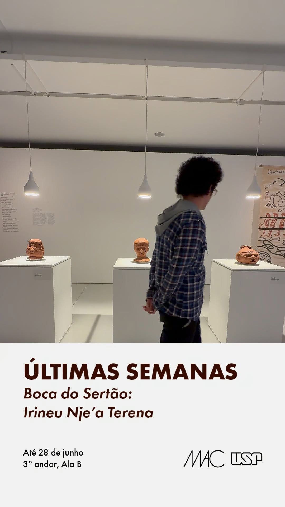 Boca do Sertão: Irineu Nje'a Terena — Museu de Arte Contemporânea da USP (MAC USP), Vila Mariana, São Paulo