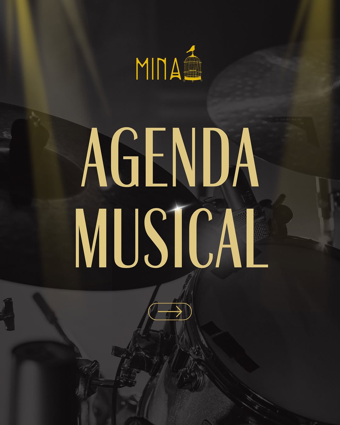 Tributos Potentes e Apresentações Intimistas — Mina Jazz Bar, Belo Horizonte