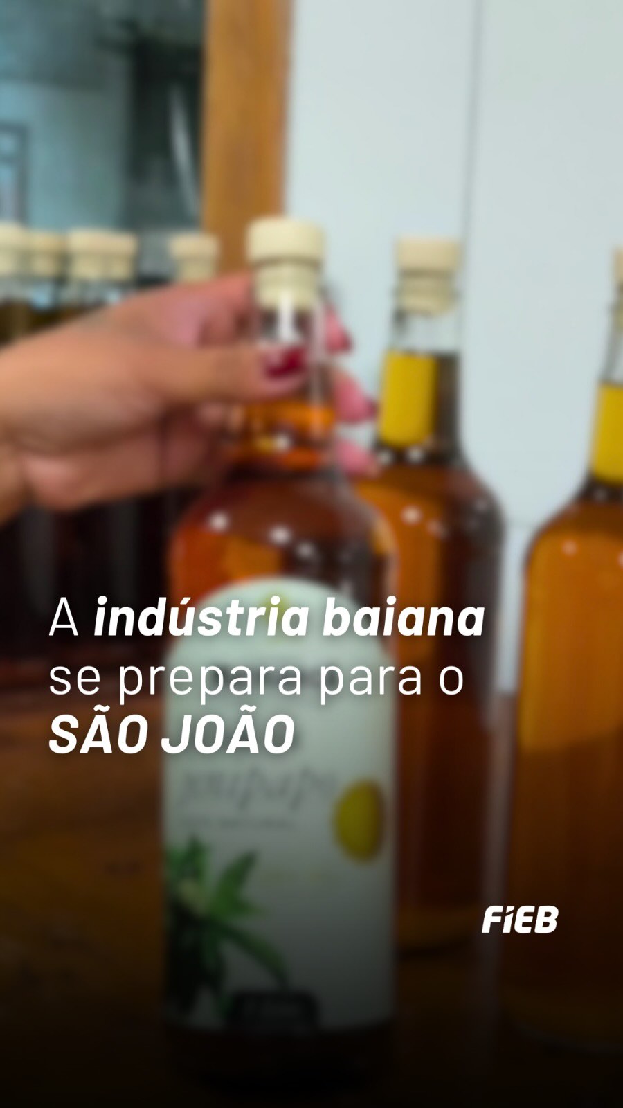 São João na Bahia — Sistema FIEB, Salvador