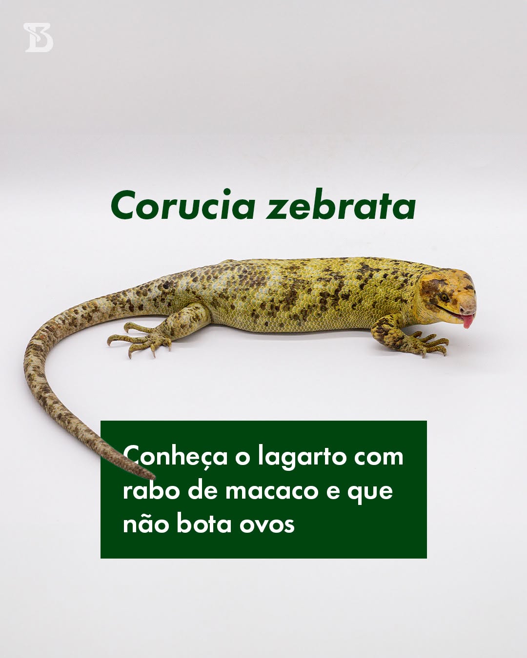 Visita ao Museu Biológico do Instituto Butantan — Instituto Butantan, Butantã, São Paulo
