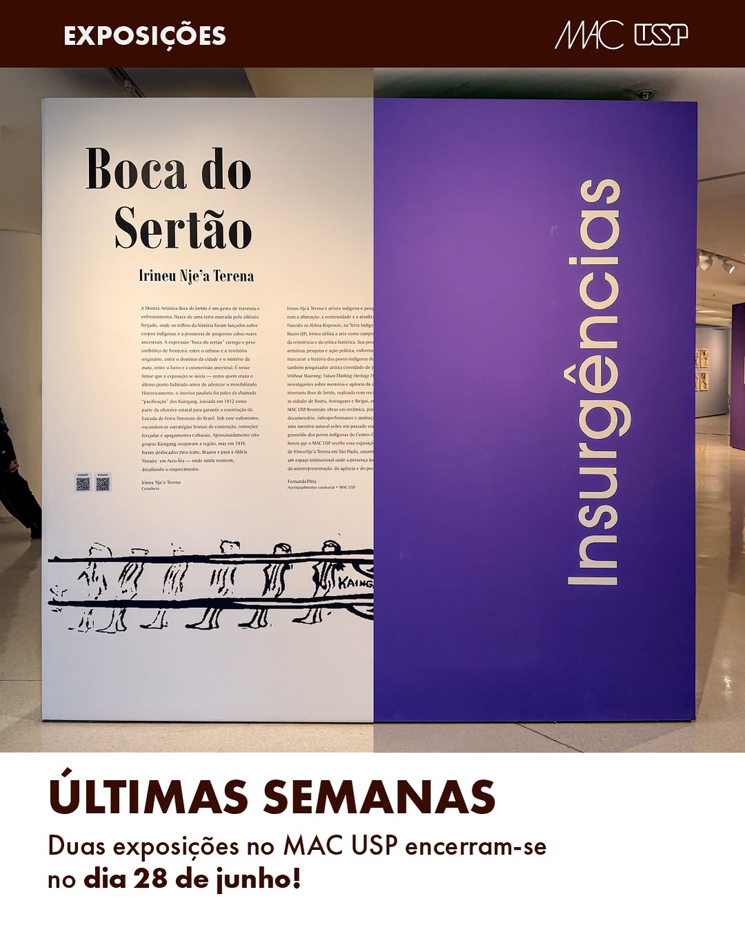 Boca do Sertão: Irineu Nje’a Terena