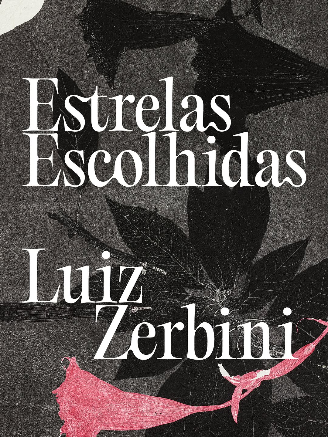 Luiz Zerbini – Estrelas escolhidas