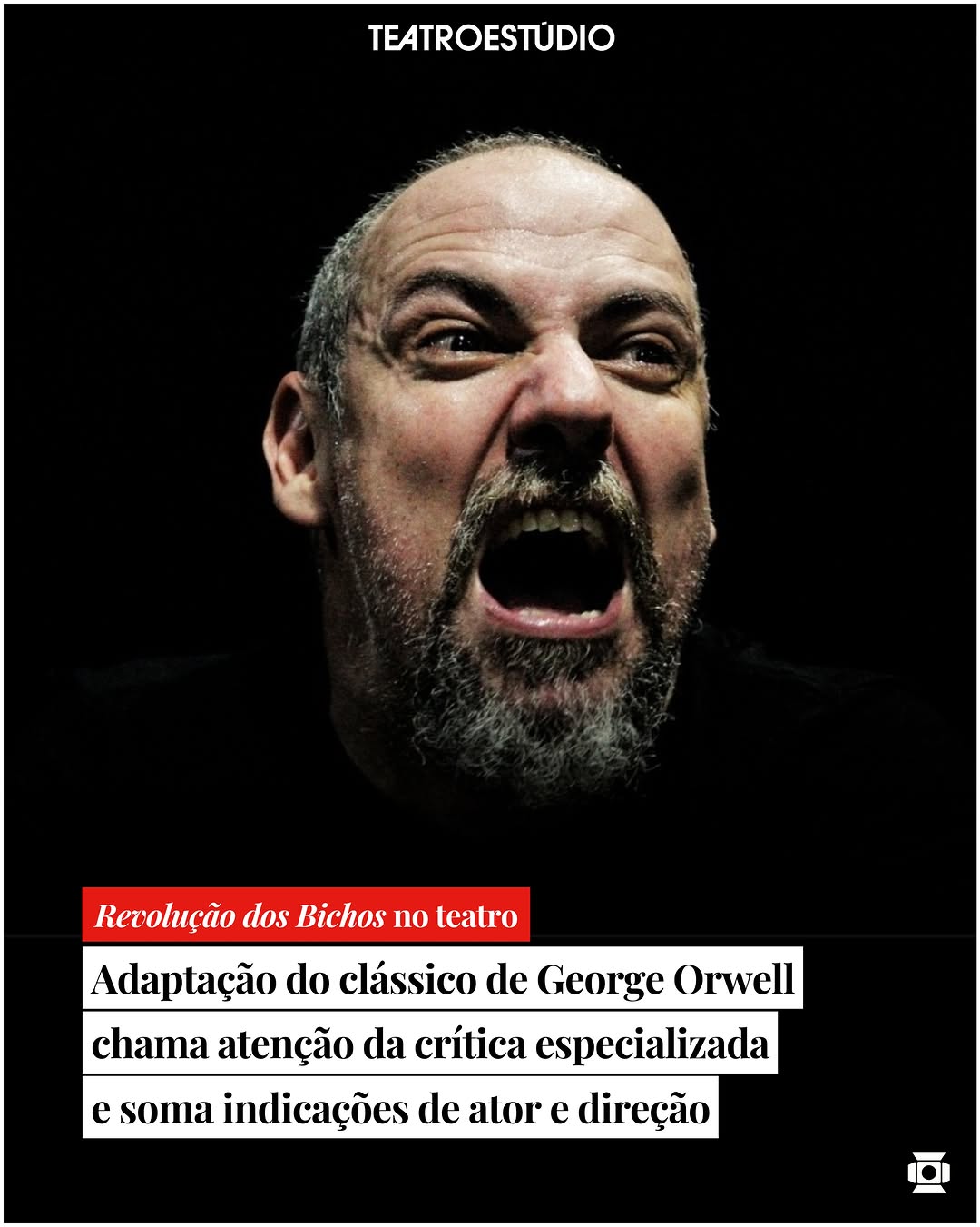 Outra Revolução dos Bichos