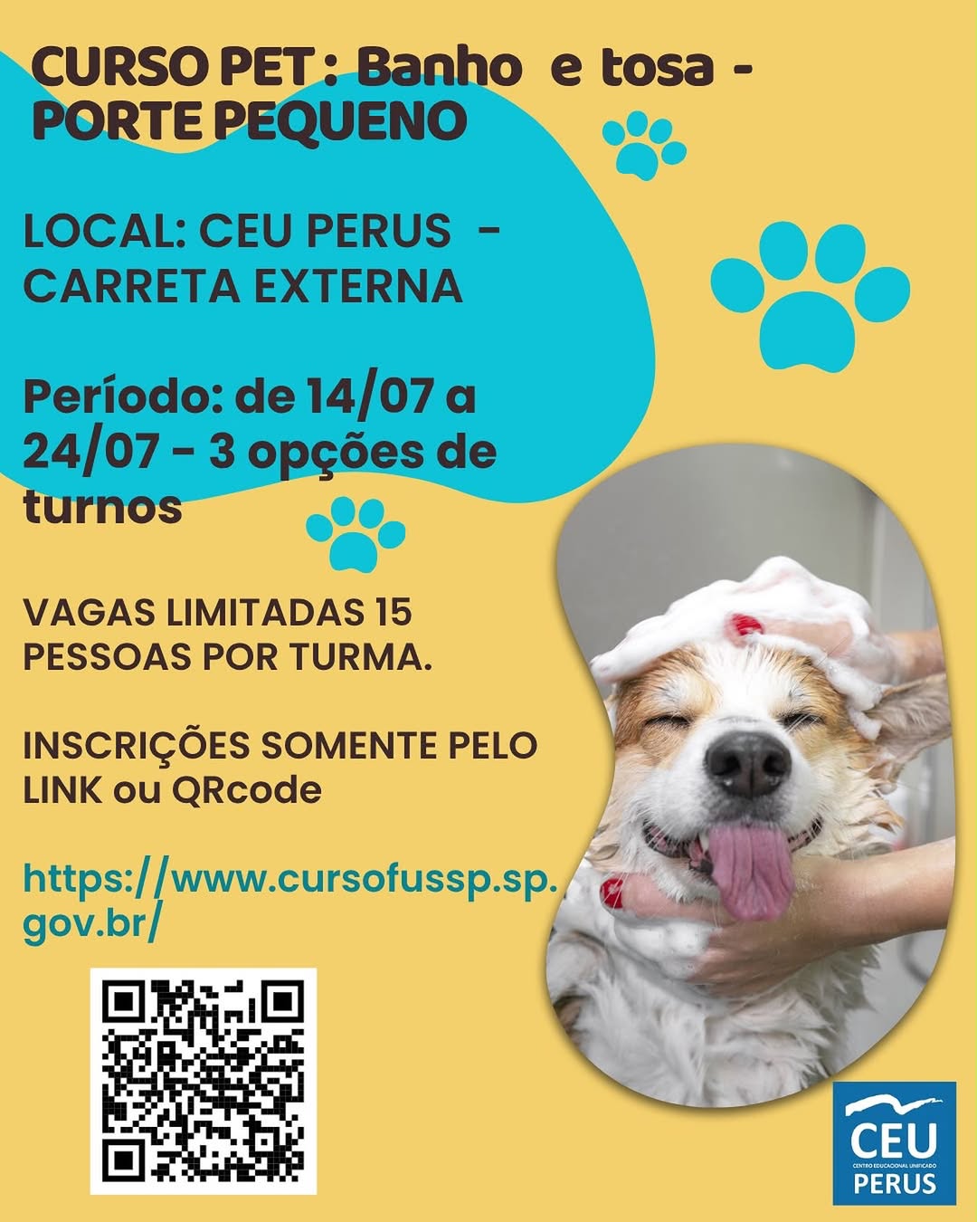 Curso de Banho e Tosa - Porte Pequeno — CEU Perus, Perus, São Paulo