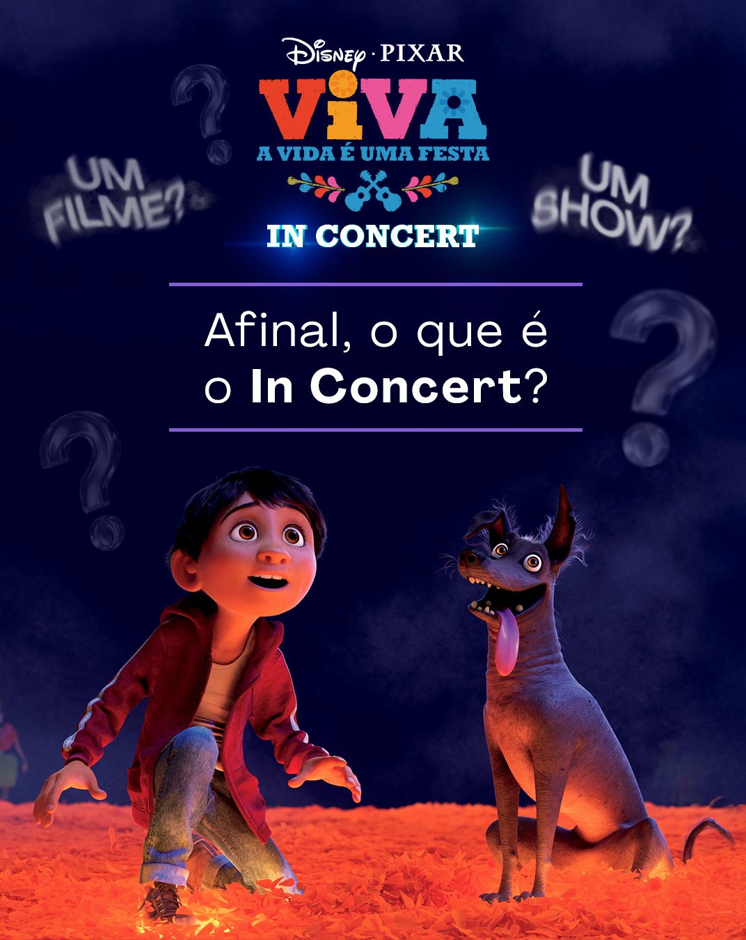 Viva: A Vida é uma Festa - In Concert