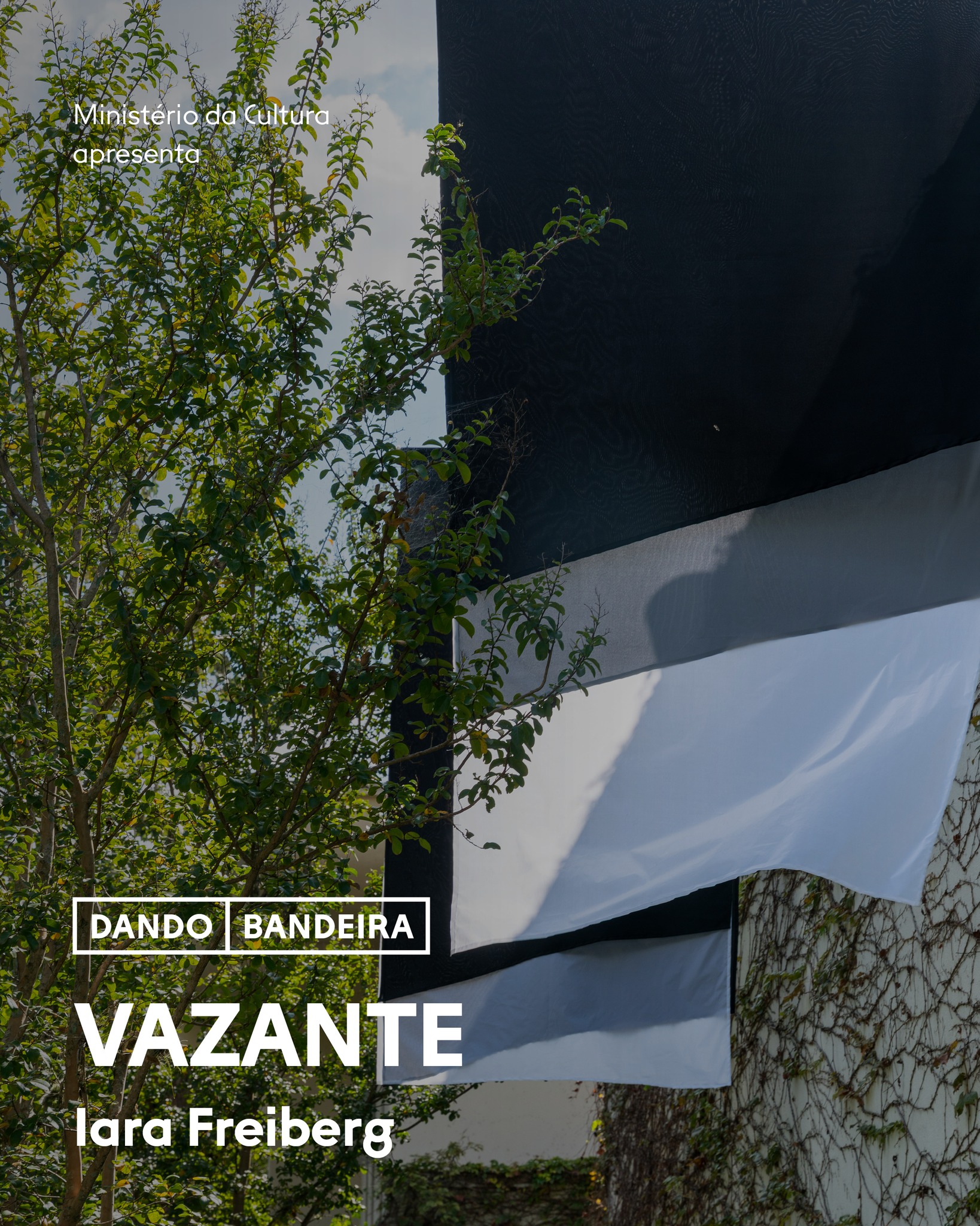 Vazante - Iara Freiberg