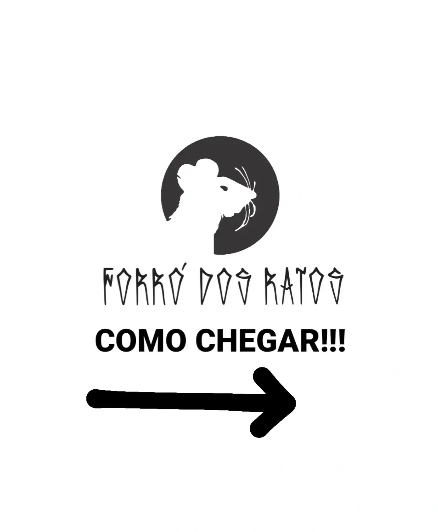 FORRÓ DOS RATOS 100% VINIL
