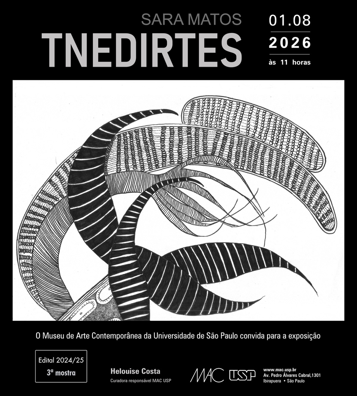 Abertura da exposição TNERDITES - Sara Matos