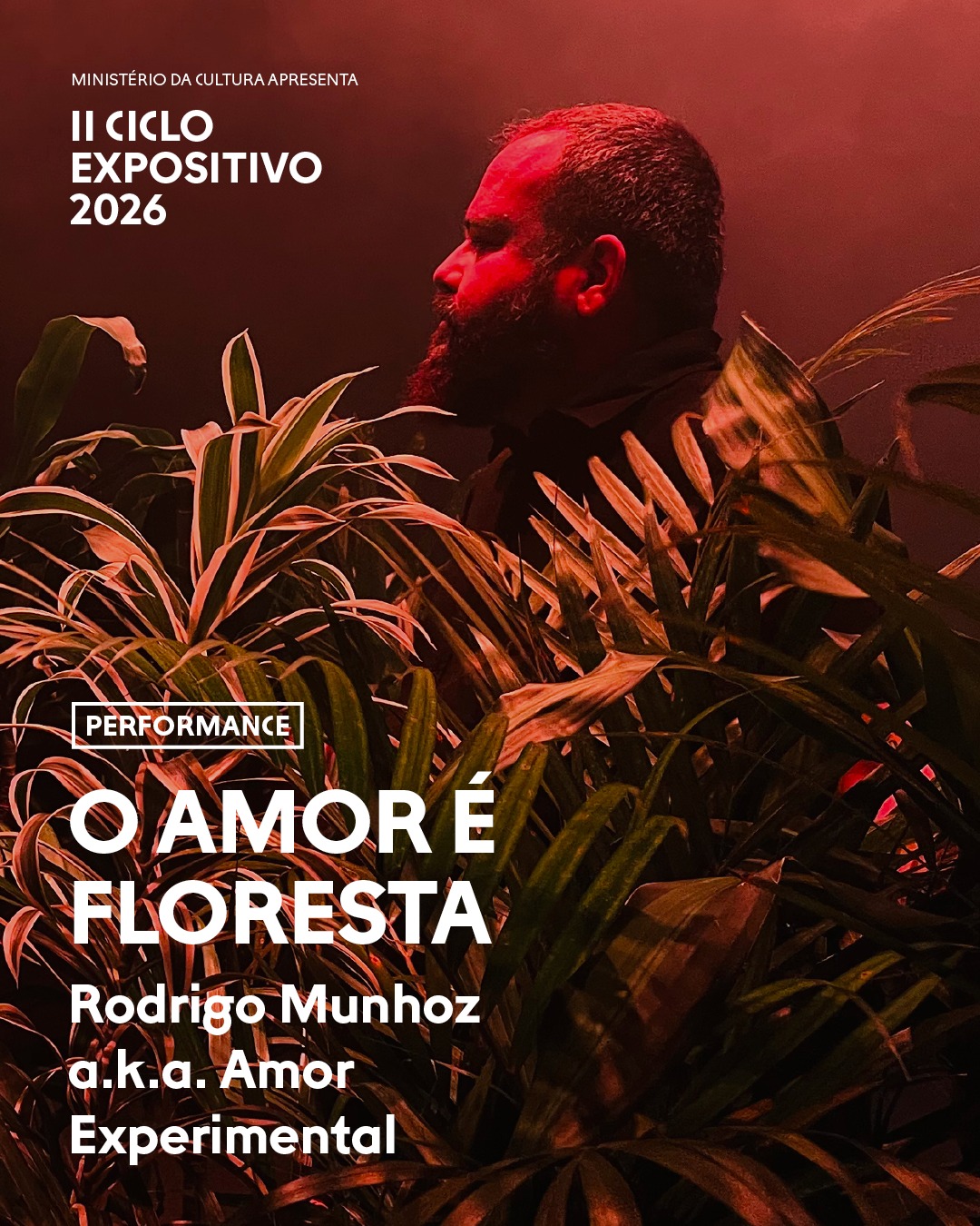 O amor é floresta