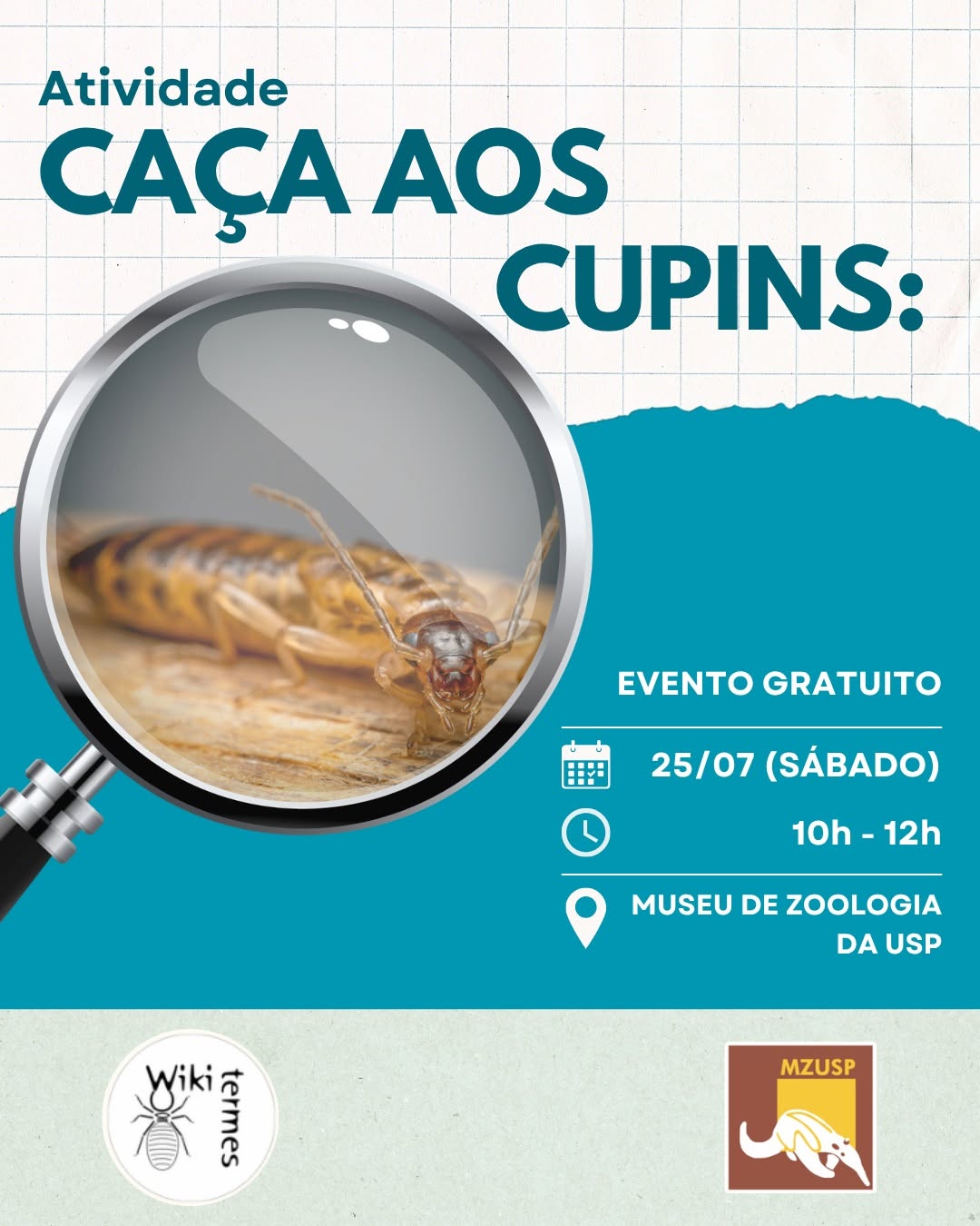 Programação de Férias no MZUSP