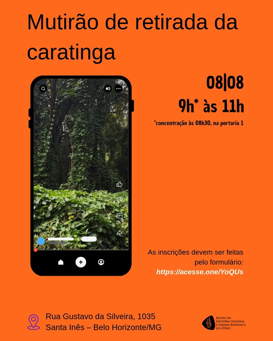 Mutirão no MHNJB - Retirada da Caratinga — Museu de História Natural e Jardim Botânico da UFMG, Santa Inês, Belo Horizonte