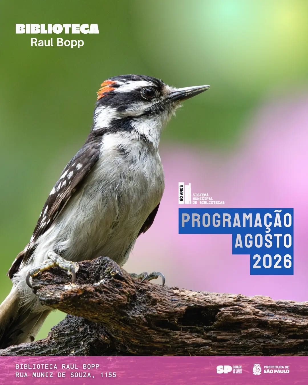Retalhos de Memória — Biblioteca Raul Bopp, São Paulo