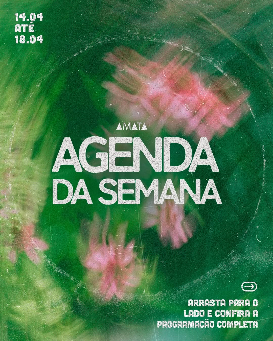 Bailedo da Massa com Nogcaio e Rafael Teixeira