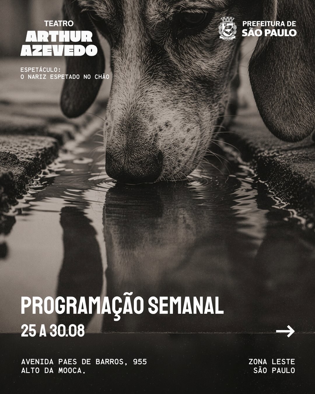 Programação Semanal - Teatro Arthur Azevedo — Teatro Arthur Azevedo, Mooca, São Paulo