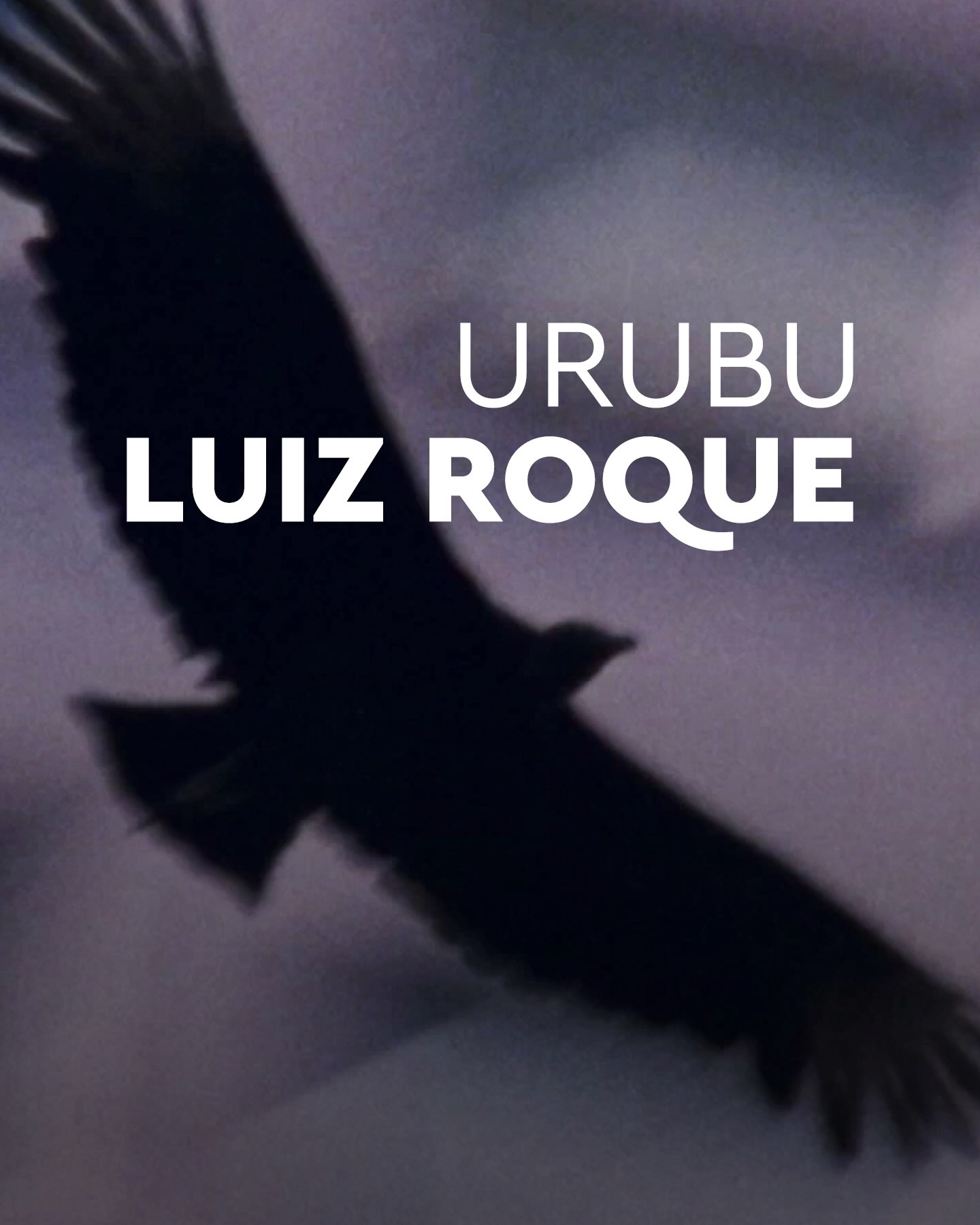VÍDEOS DO ACERVO | Urubu, de Luiz Roque — Pinacoteca do Estado de São Paulo, Bom Retiro, São Paulo