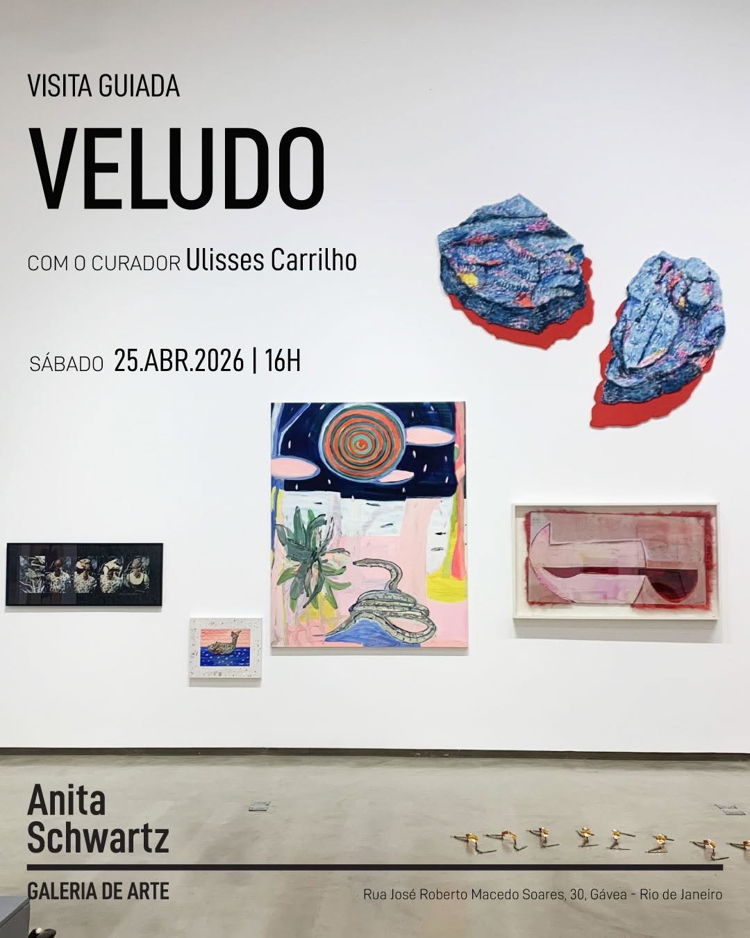 Visita guiada especial - Encerramento da exposição coletiva Veludo