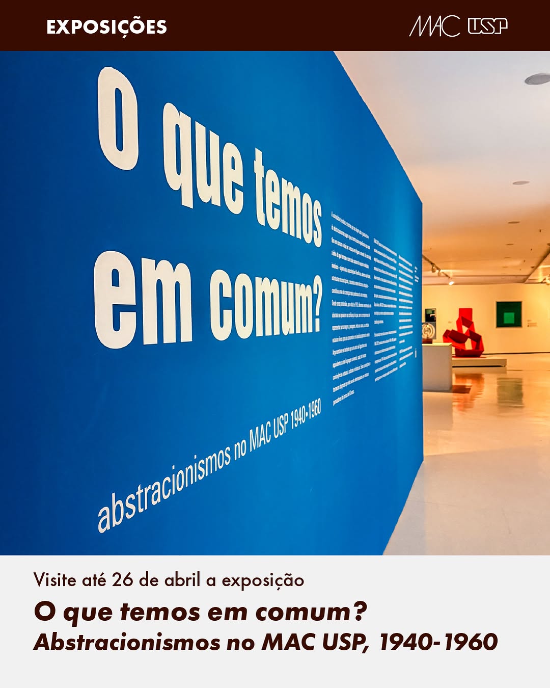 O que temos em comum? Abstracionismos no MAC USP, 1940–1960