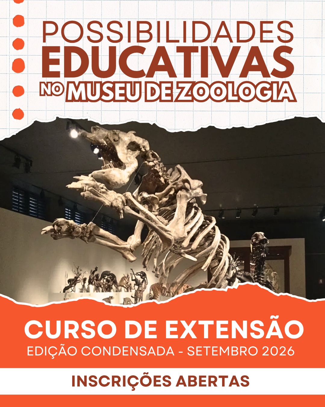 Curso Possibilidades Educativas no Museu de Zoologia da USP