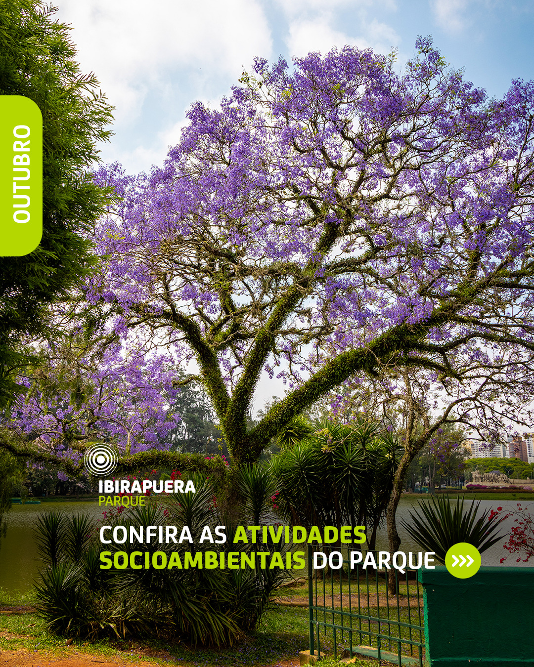 Bosque da Leitura — Parque Ibirapuera Oficial, Vila Mariana, São Paulo
