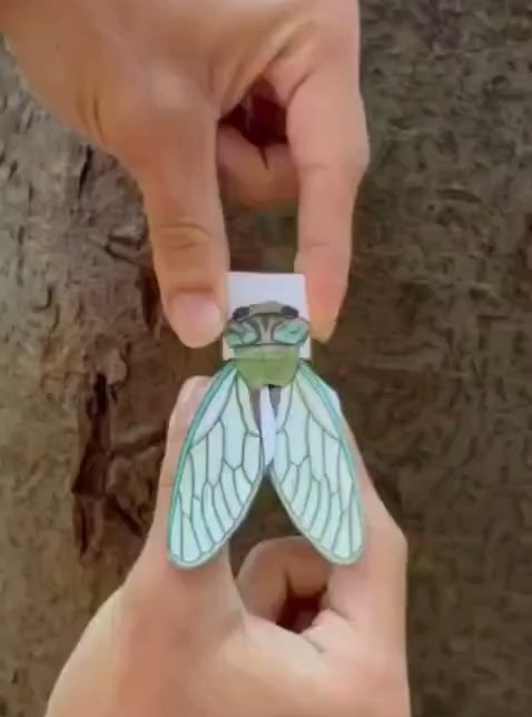 Oficina Insetos em Movimento: Colorindo e Montando Insetos Articulados em Papel — Museu de Zoologia, Ipiranga, São Paulo