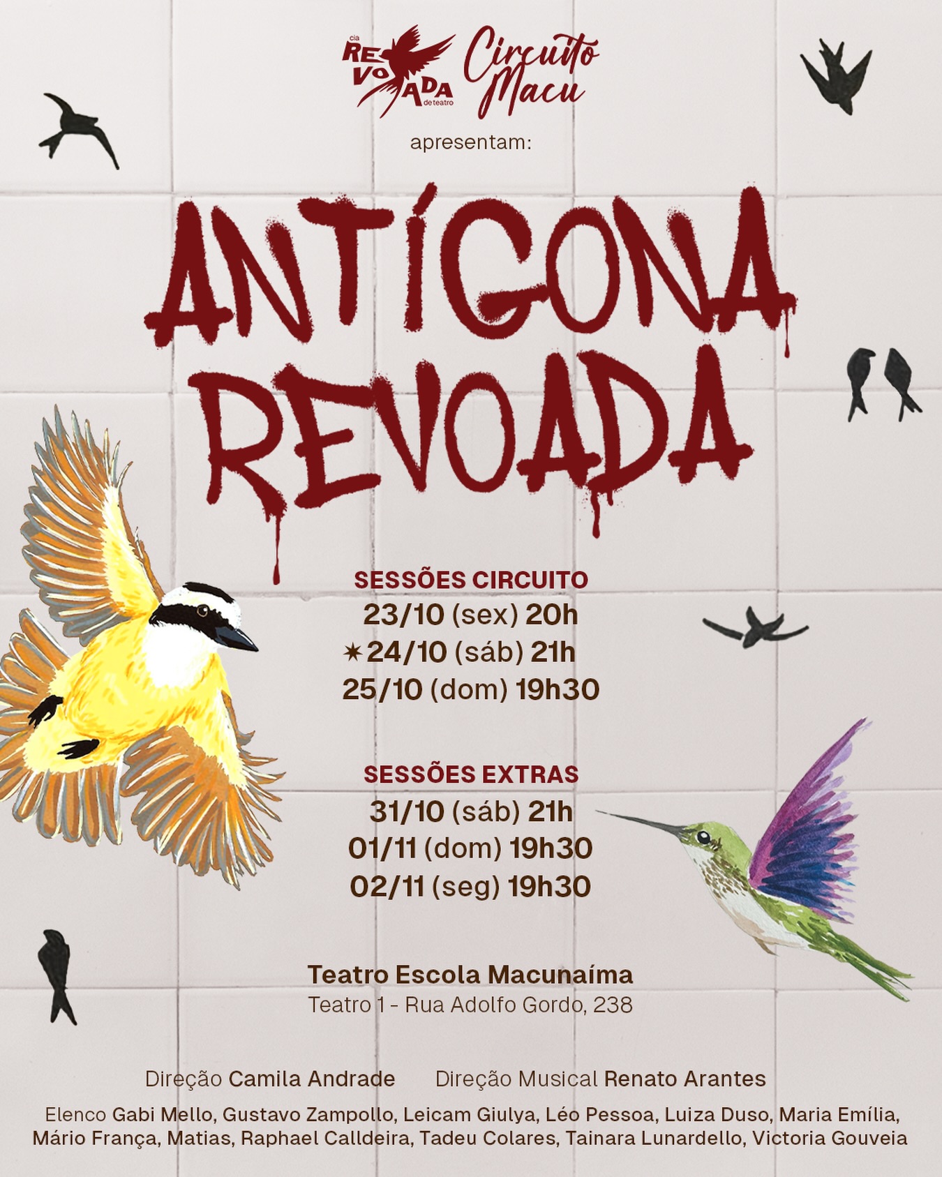 Antígona Revoada