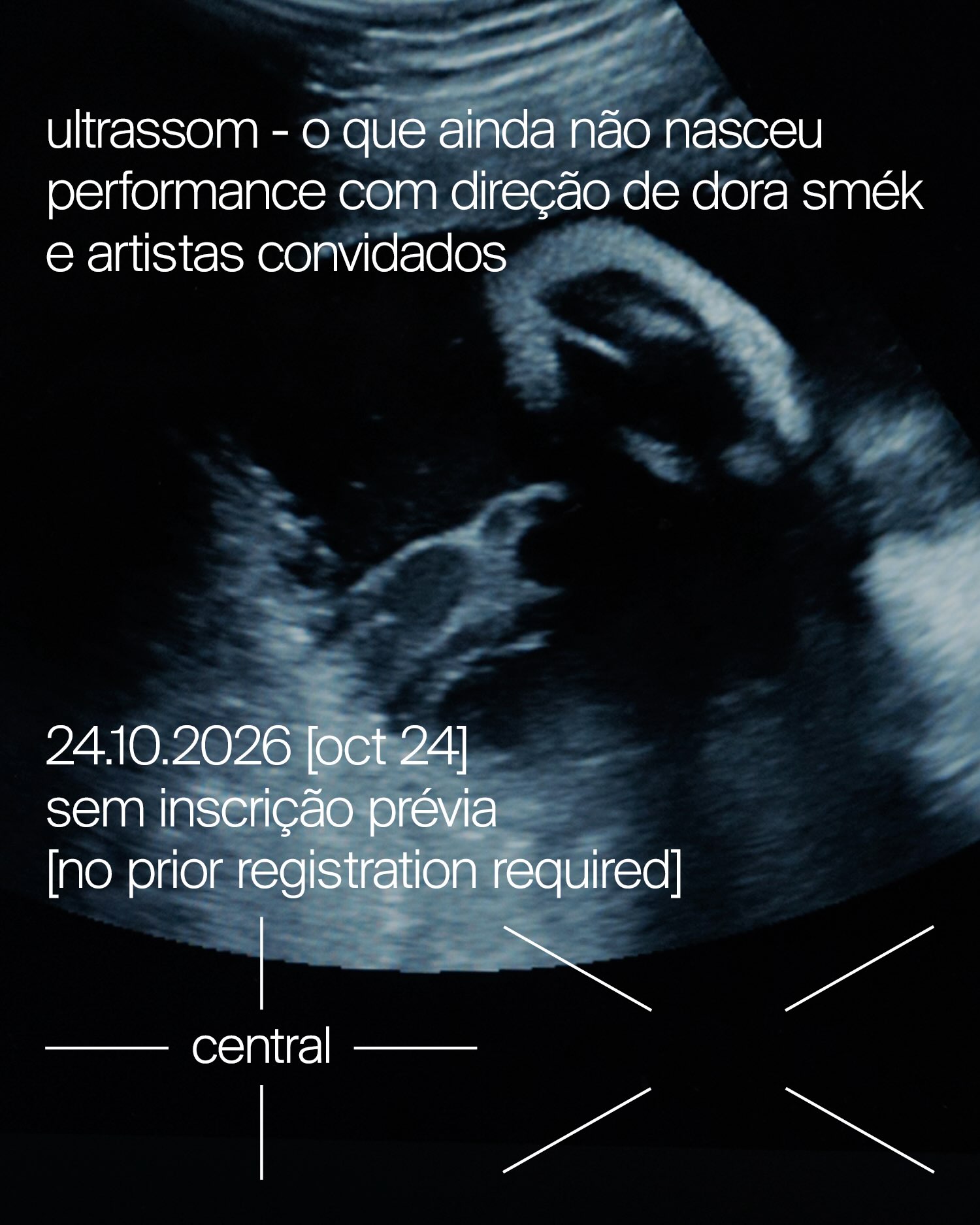 Ultrassom – o que ainda não nasceu — Central Galeria, República, São Paulo