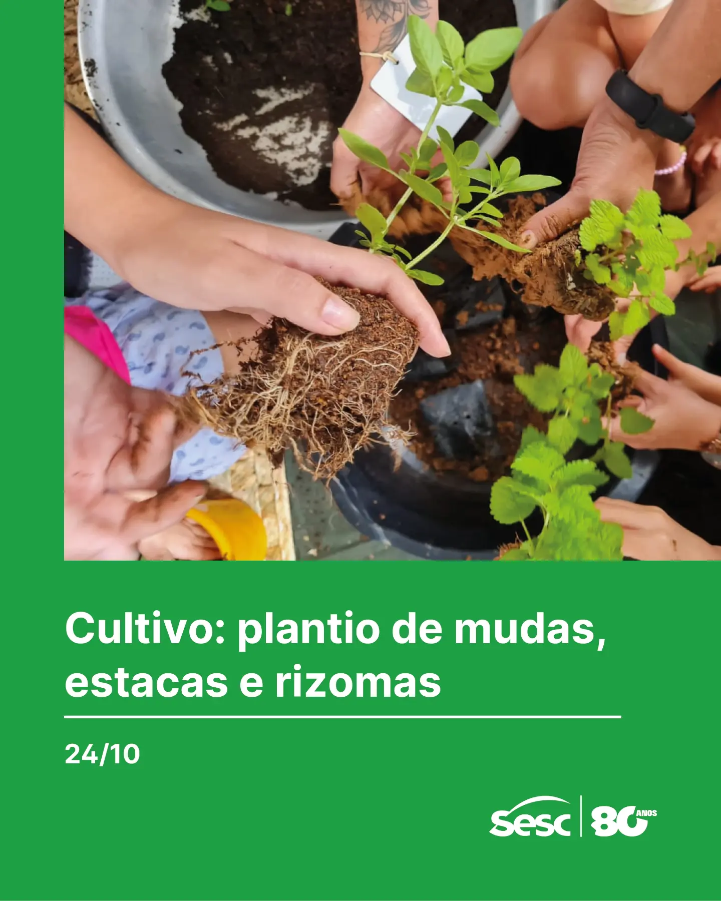 Cultivo: plantio de mudas, estacas e rizomas — Sesc Avenida Paulista, Bela Vista, São Paulo