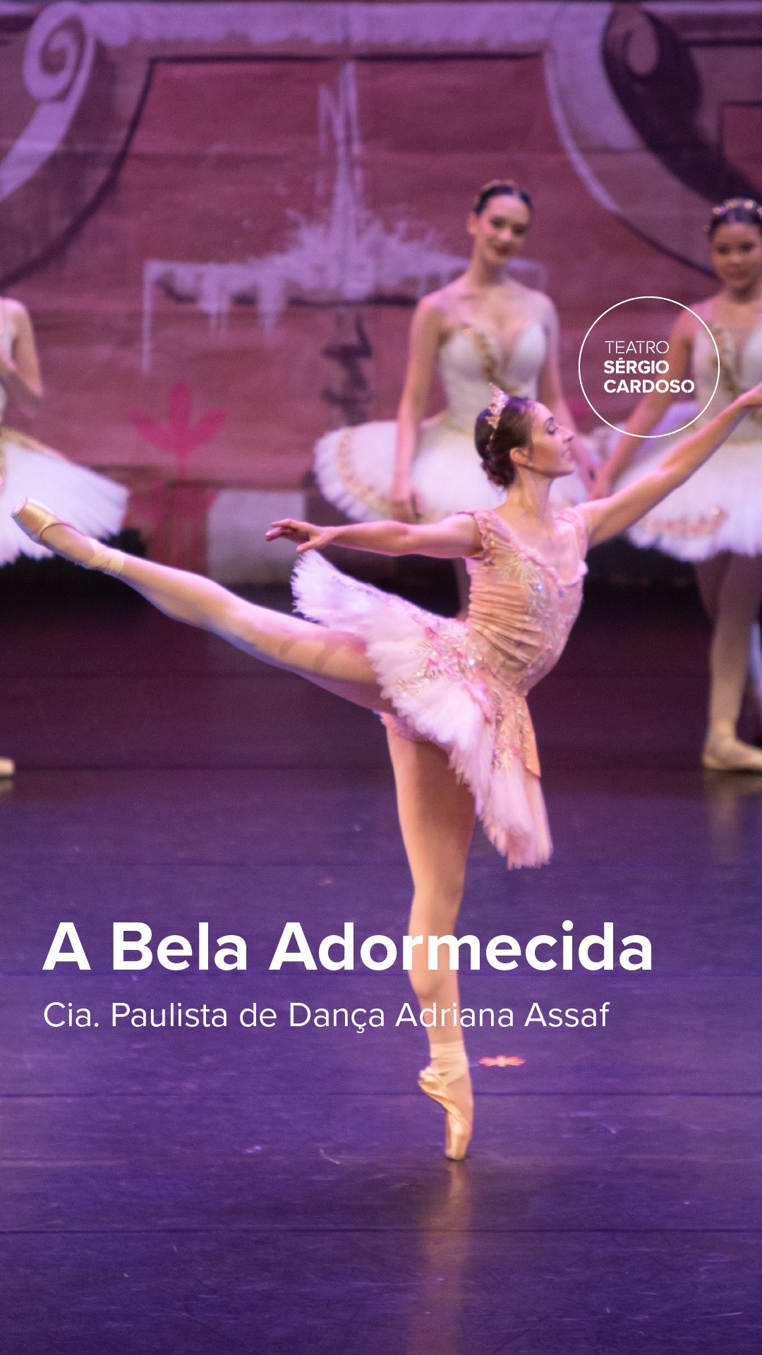 A Bela Adormecida — Teatro Sérgio Cardoso, Bela Vista, São Paulo