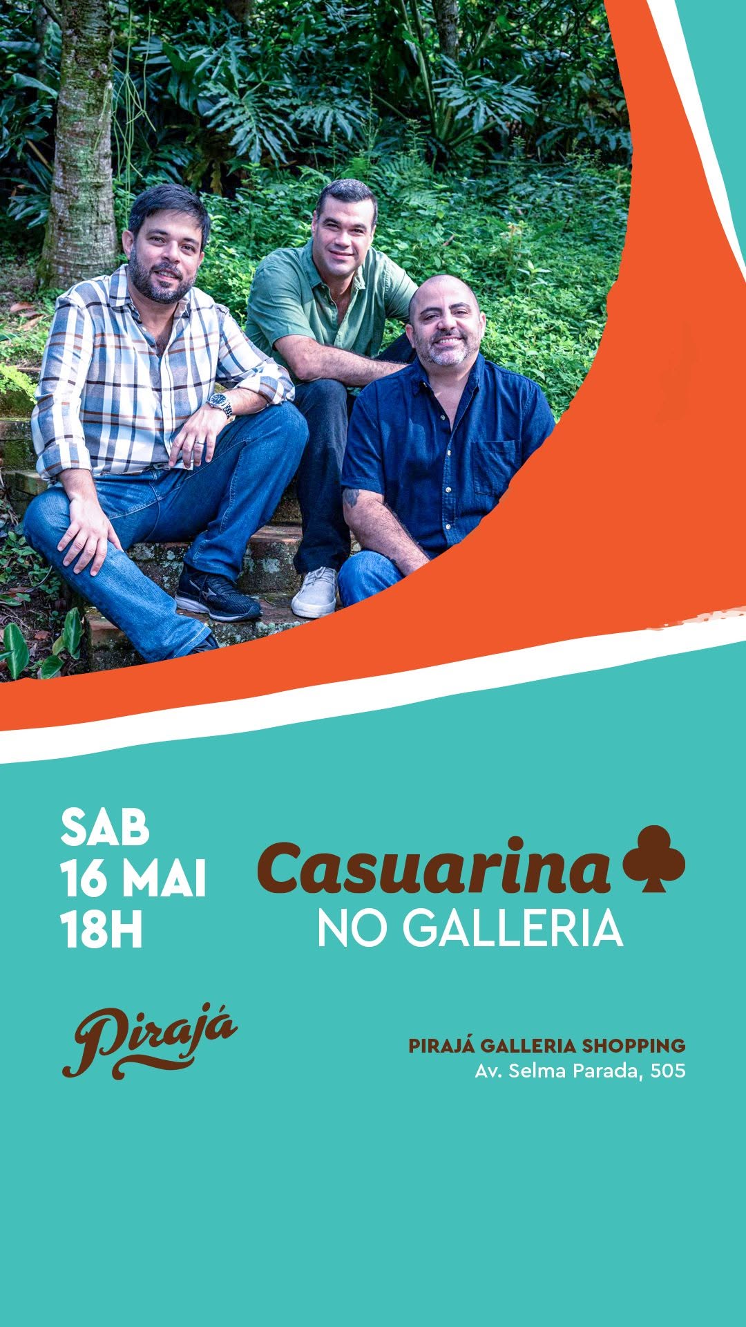 Casuarina no Pirajá