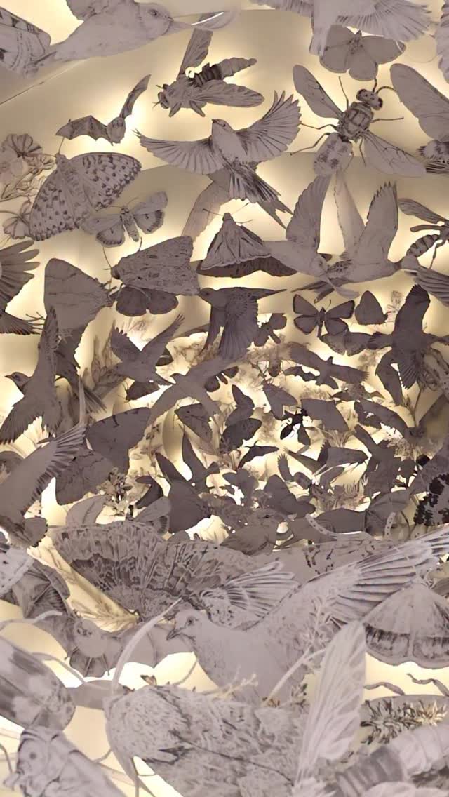 Exposição Sou o Outro do Outro - Es Devlin