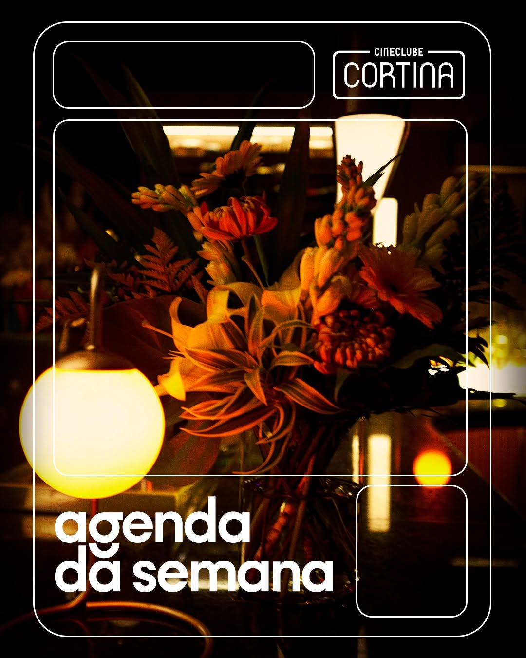 Especial Shakira com @bogota.sp e transmissão do show no Rio