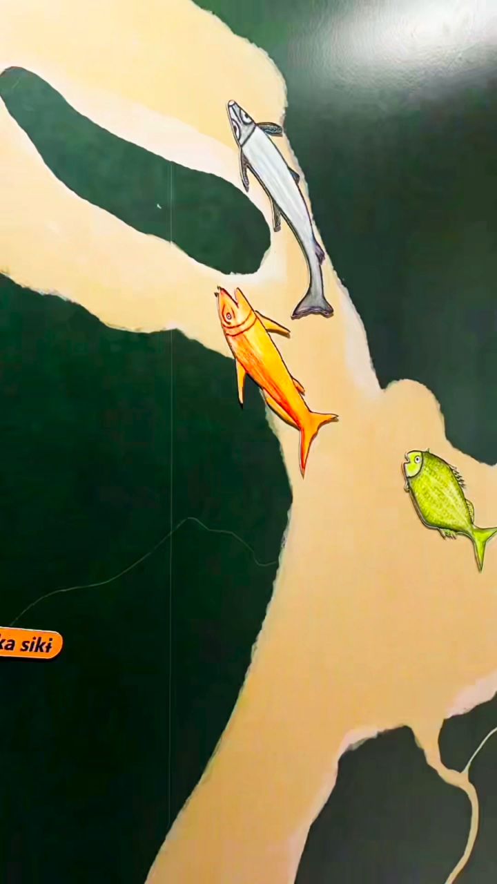 Bordando o Rio Catrimani